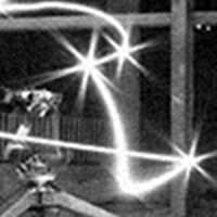 ワイルドドッグス