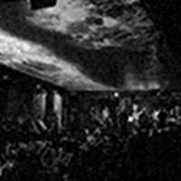 ワイルドドッグス